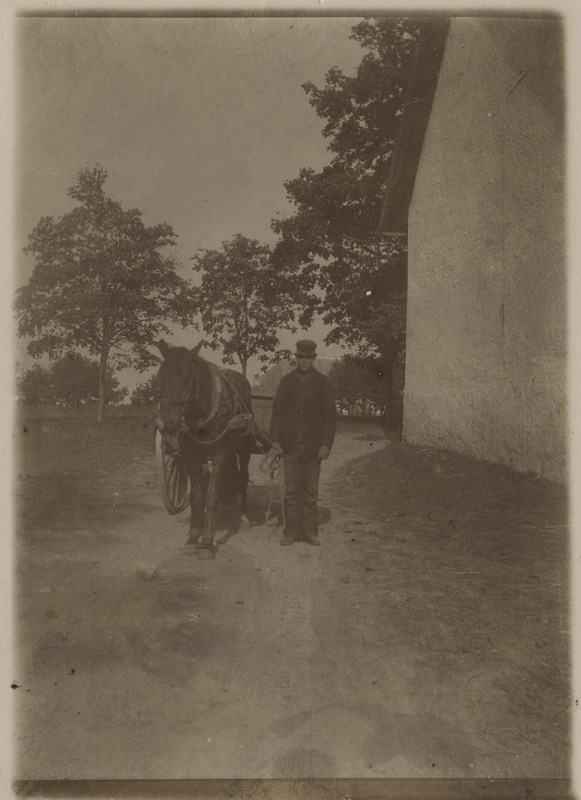 Mõisa tööpoiss hobusega