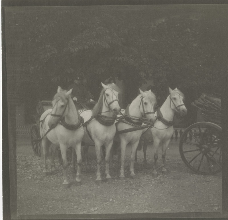Neljahobuse tõld Suuremõisa härrastemaja ees