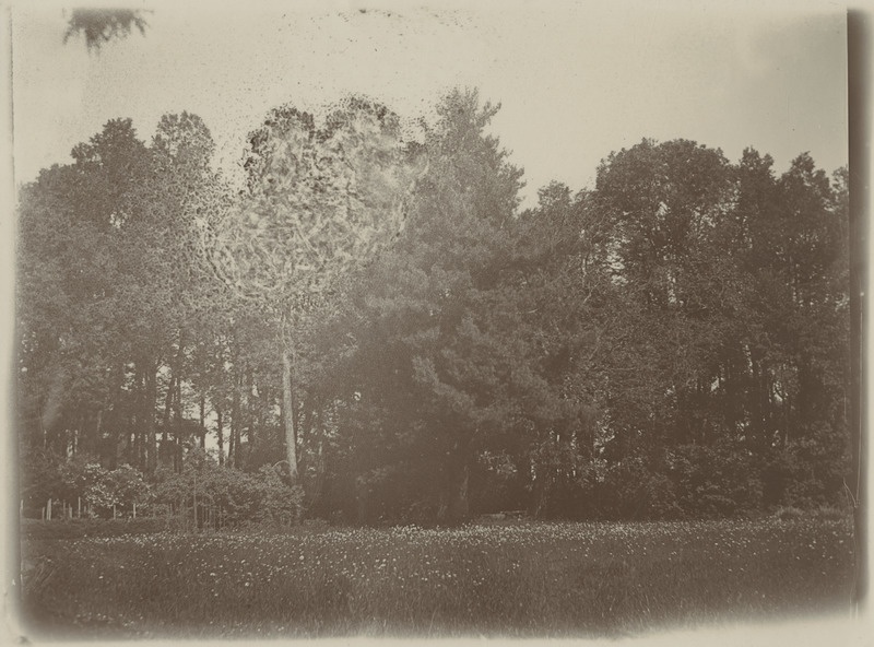 Elistvere mõisa park