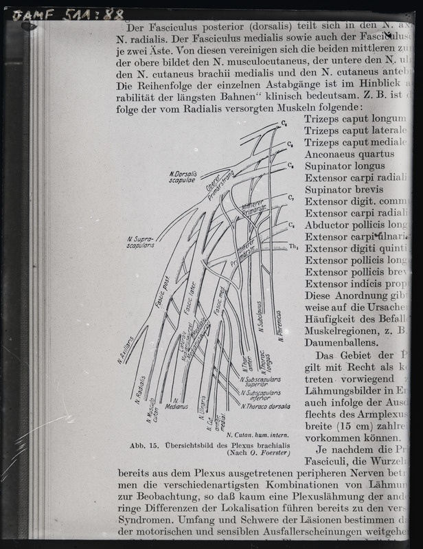 Tartu ülikooli arstiteaduskonna neuroloogia õppe- ja teadustöö materjal. 1955. a.