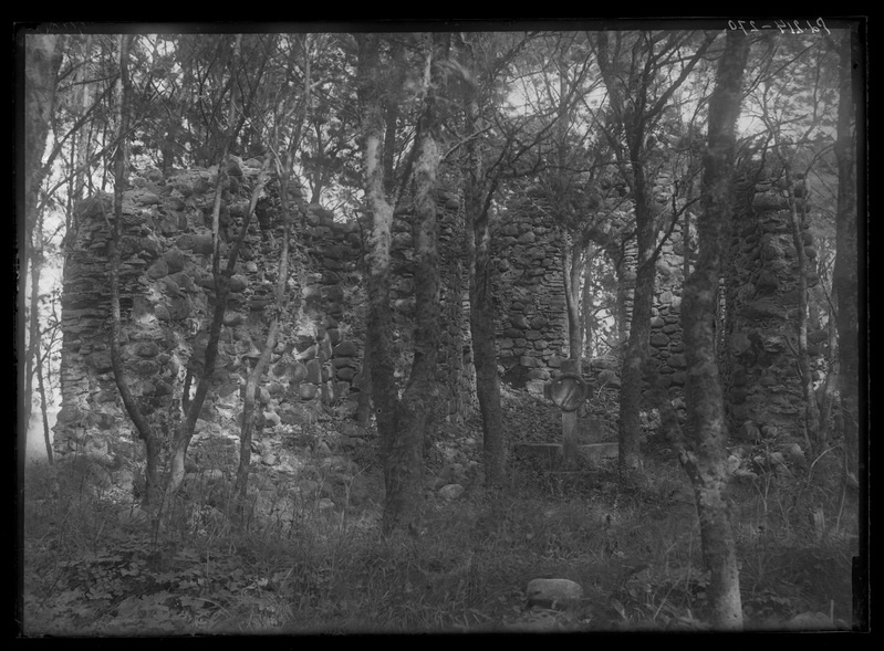 Vanad kabeli varemed Sääre mõisa aias