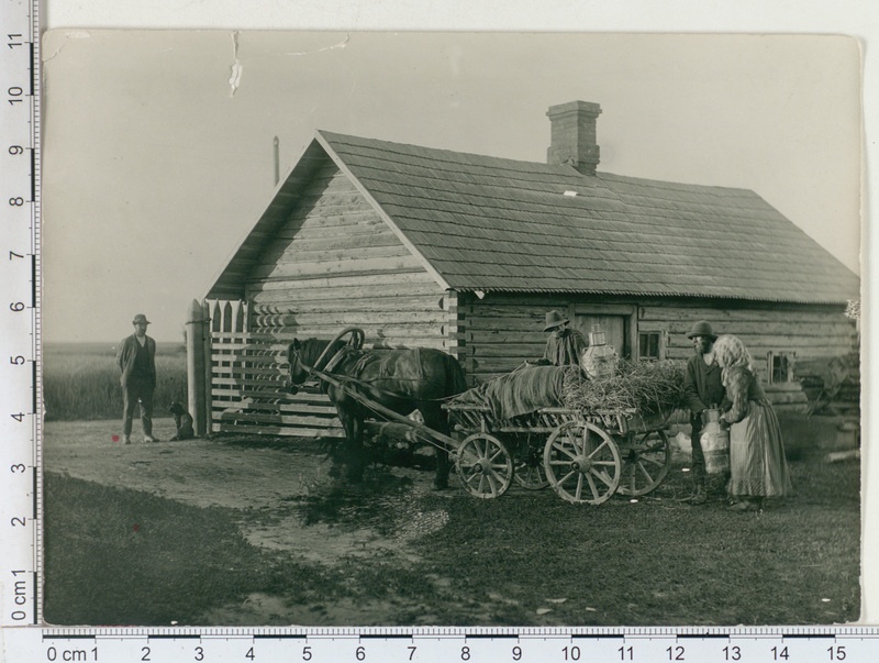 Tartu valla Väägvere k., piimavedajad Polska talus 1911
