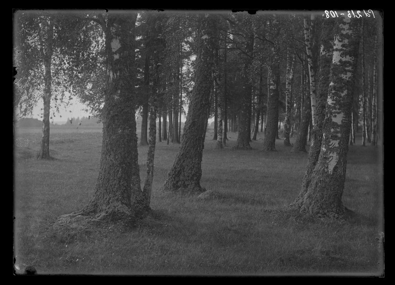 Kasemets Tarvastus Viljandimaal