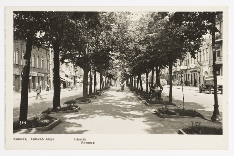 Kaunas - Vabaduse allee (Liberty Avenue)