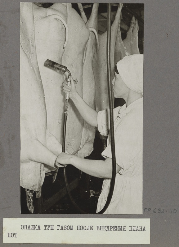 Tartu Lihakombinaat. Lihakehade kõrvetamine gaasiga