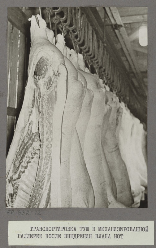 Tartu Lihakombinaat. Liha transport galerii kaudu pärast töö teaduslikku organiseerimist