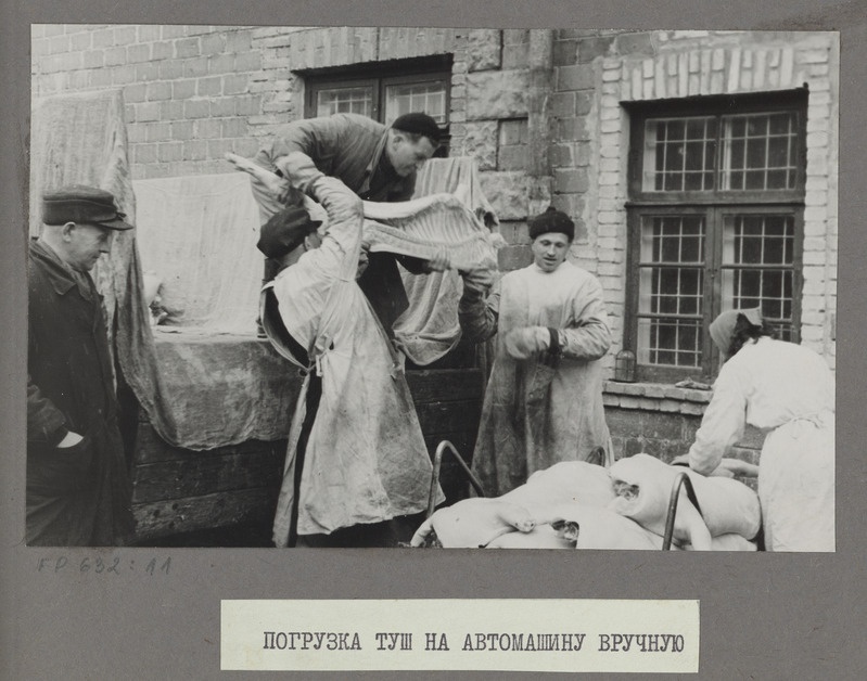 Tartu Lihakombinaat. Liha pealelaadimine lihalaost enne uuenduste sisseviimist