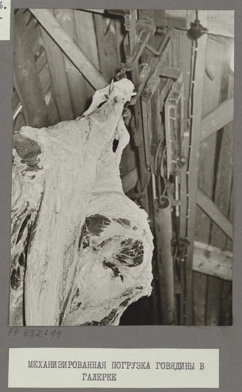 Tartu Lihakombinaat. Mehhaniseeritud liha töötlemine