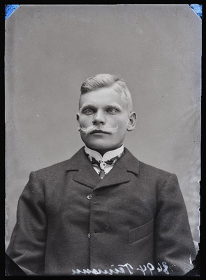 Teimann.  similar photo