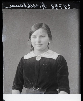 Kirschbaum.  similar photo