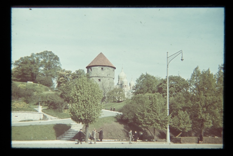 View from the Freedom Square to Harjumägi.