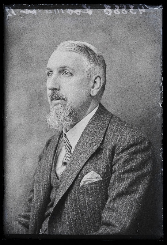 Loomann.