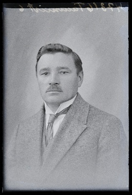 Tammist.  similar photo