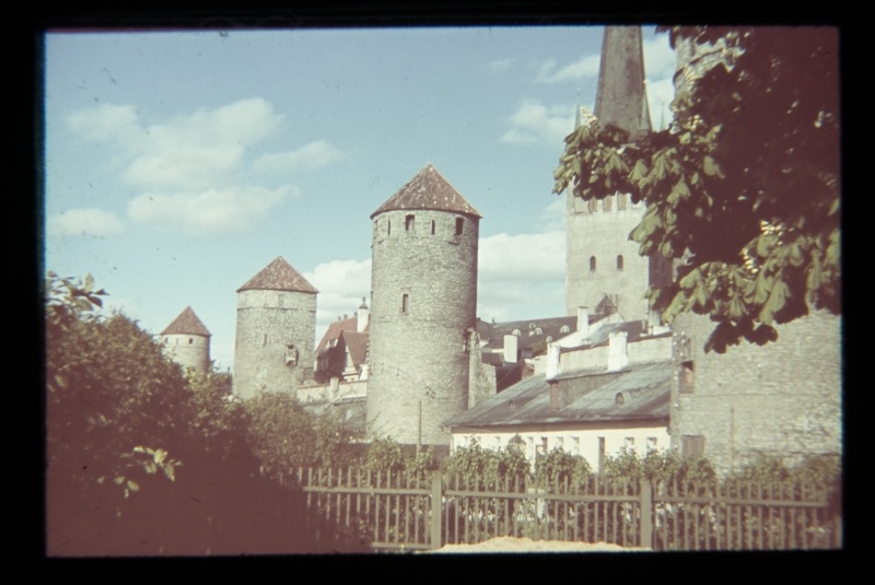 Tallinn City Wall next to the Towers Square by the Grand-Kloostri Street over the garden.