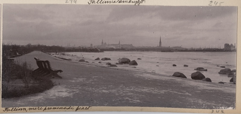 Kadrioru rannapromenaad, silmapiiril Tallinna panoraam.