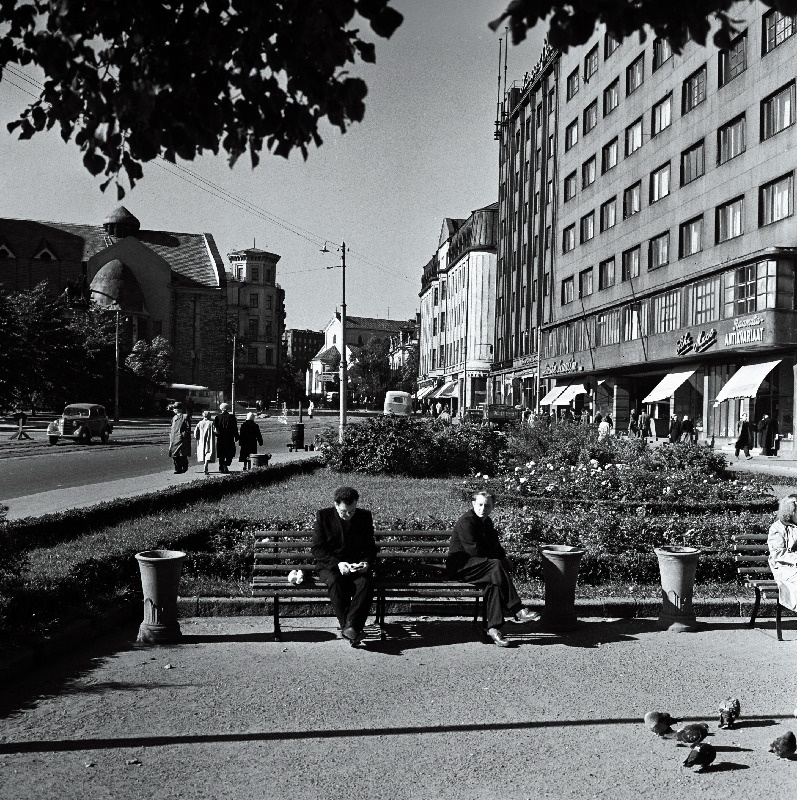 Vaade Pärnu maanteele.