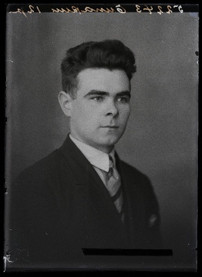 Õunapuu.  similar photo