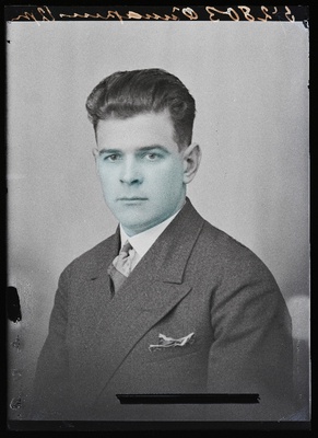 Õunapuu.  similar photo