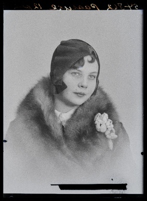Pääsuke.  similar photo