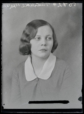 Pääsuke.  similar photo