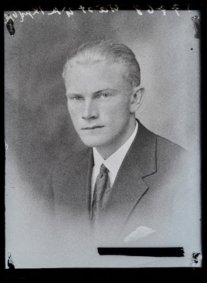 Västrik.  similar photo