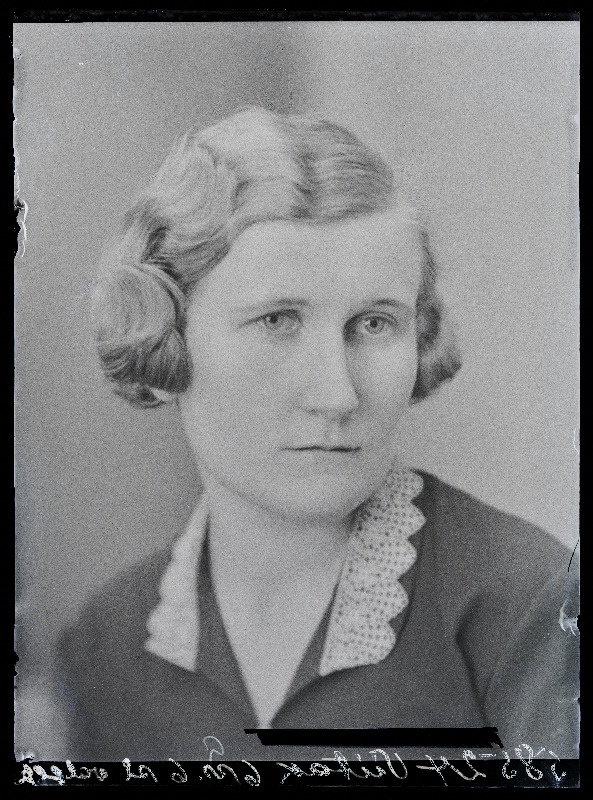 Viitak, (Õisu mõis).