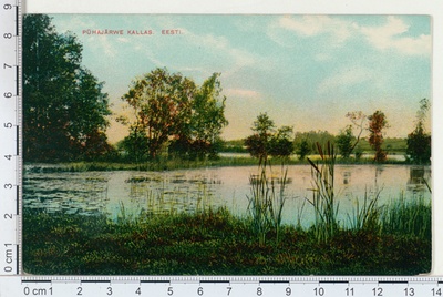 Pühajärve kallas  duplicate photo