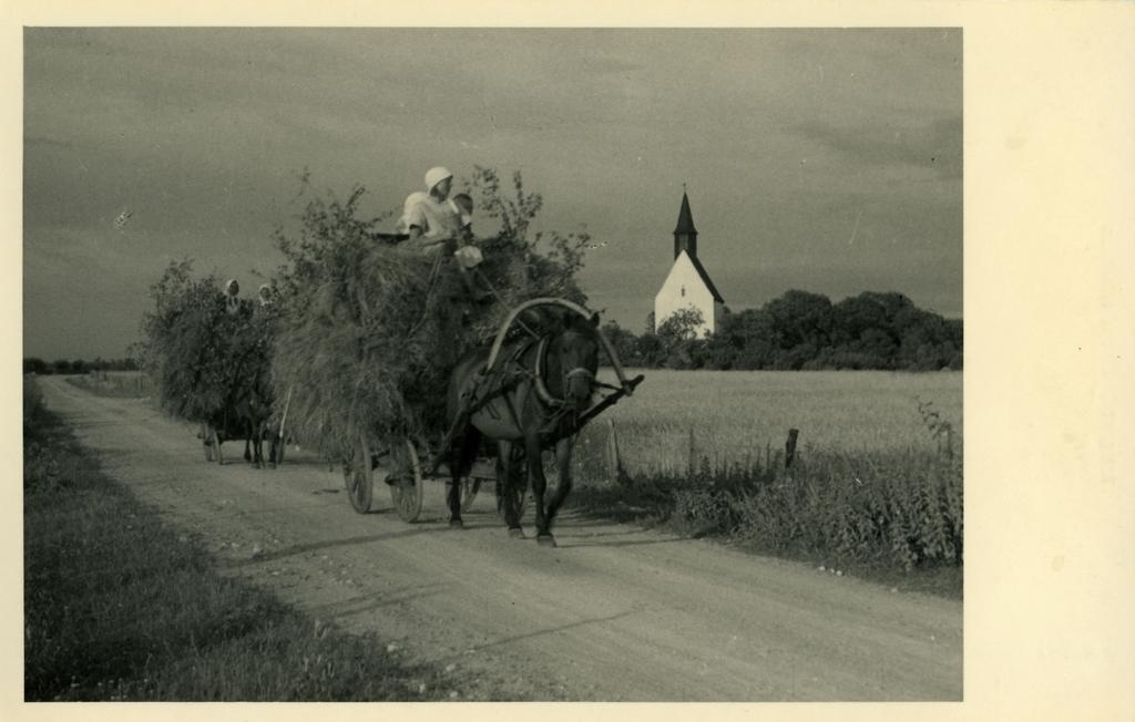 Heinakoormad teel, Muhu