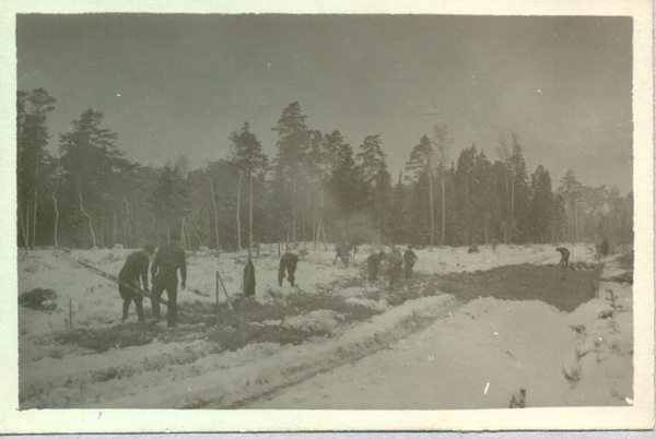 Foto Emmaste-Luidja tee