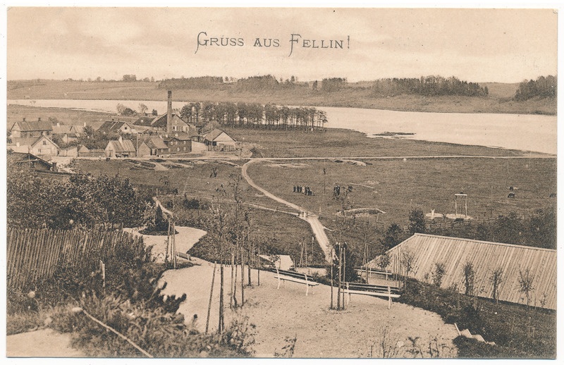 trükipostkaart albumis, Viljandi, vaade Trepimäelt järvele, vasakul kõrge korstnaga auruveski, paremal karjamaa, mis ühtlasi reservväelaste harjutusplats u 1910