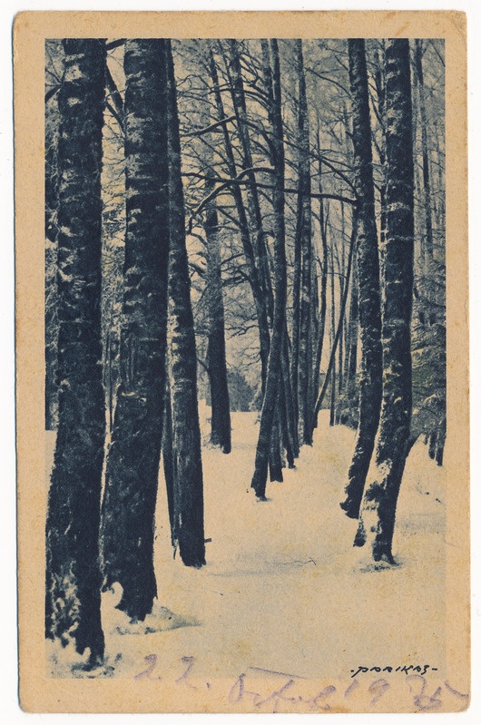 postkaart albumis, Viljandi, Filosoofia pst u 1920, foto Parikas