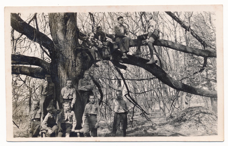 foto Paistu khk Loodi kool, noorkotkad puu juures ja otsas, u 1936 foto Ed. Kurm