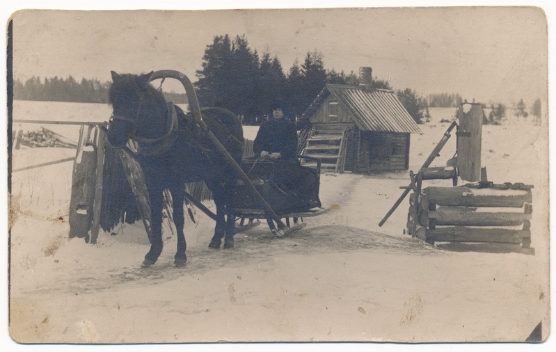 foto Viljandi khk Nõmmjärve saun, kaev?, hobune, saan, u 1930, E. Ardma sünnikodu