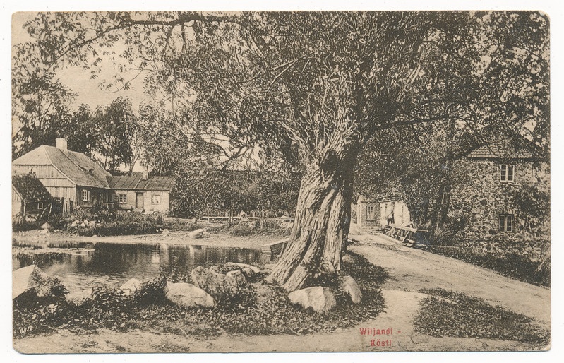 trükipostkaart albumis, Viljandi, Kösti järv ja veski u 1910, kirjastaja H. Leoke