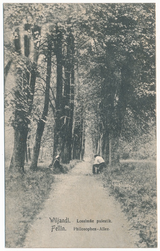 trükipostkaart albumis, Viljandi, Filosoofia pst u 1905