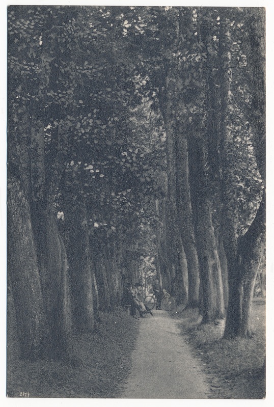 trükipostkaart albumis, Viljandi, Filosoofia pst u 1920