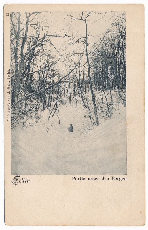 trükipostkaart albumis, Viljandi lossimäed, Suurorg u 1905, valgustrükk J. Riet, nr. 12