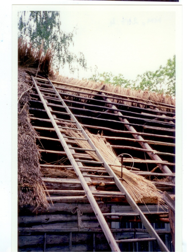 Koguva Kopli katusetegu