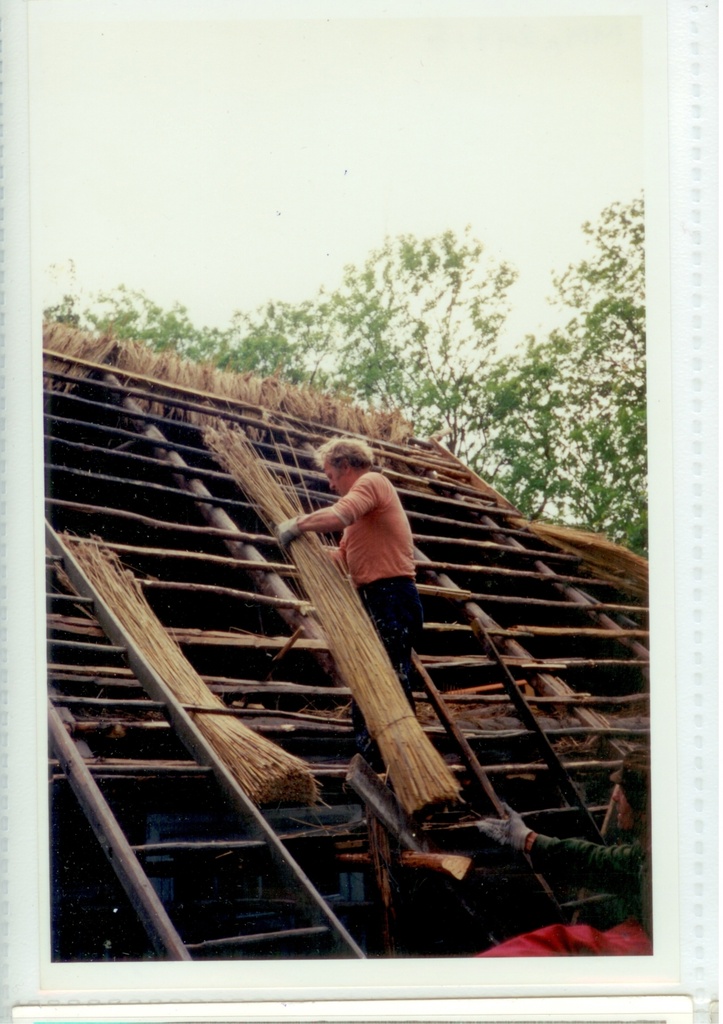 Koguva Kopli katusetegu