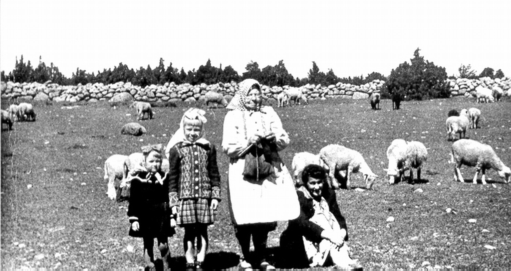 Eed Tüür ja Debora Vaarandi