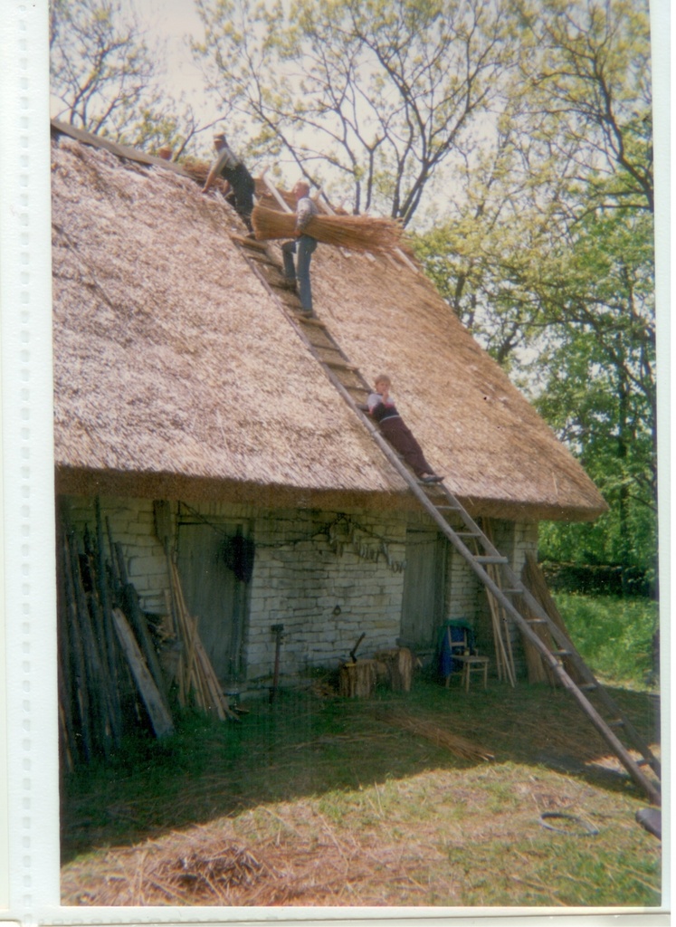 Koguva Jaagu katusetegu
