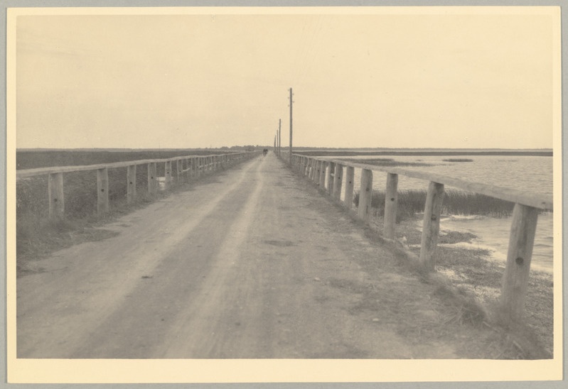 Muhu Väikese Väina tamm 1929.a.