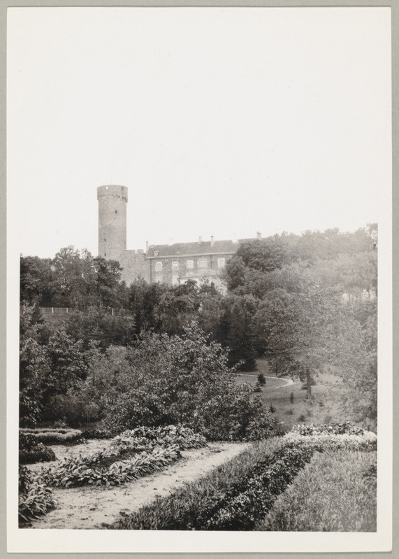 Tallinn, Lindamäe alusel 1905.a.