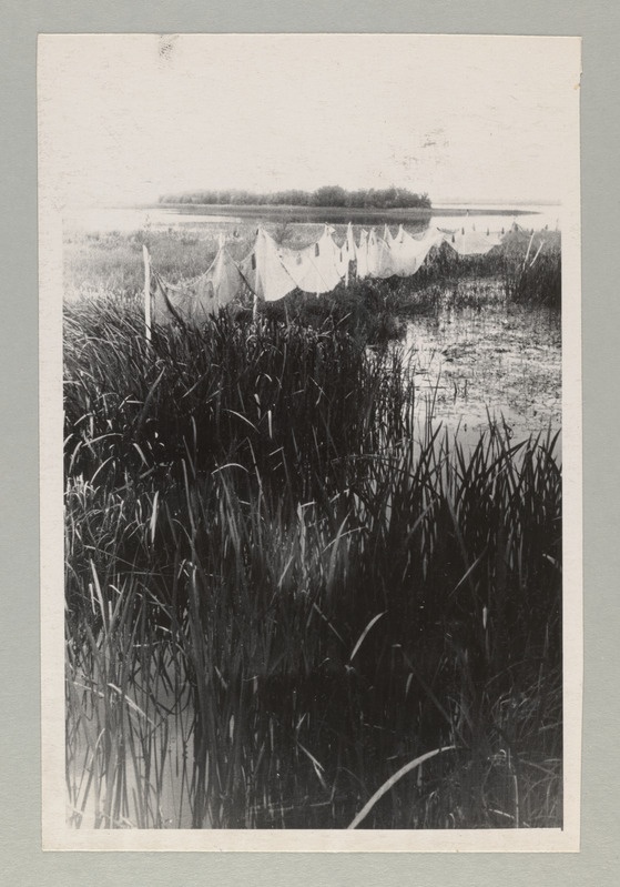 Peipsi kalurikolhoosid, 1940.a. loodud esimesed kolhoosid ja muud ENSV kolhoosid 1951.a.