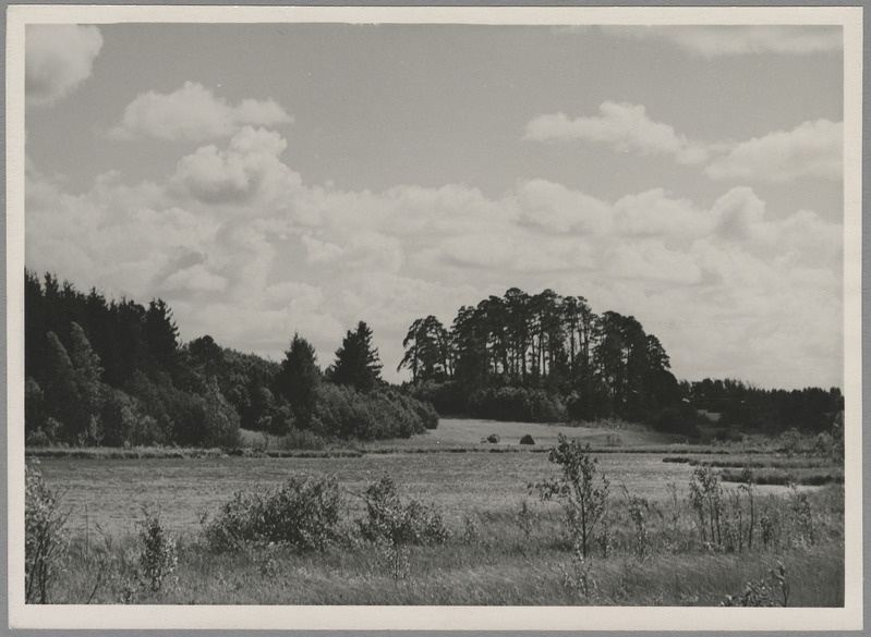 foto, Viljandimaa, Mustjärv ja Kindralimägi, 1958, foto A. Kiisla