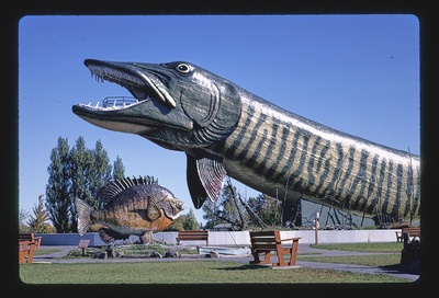 Giant pike side view 2, Fishing Hall of Fame, Hayward, Wisconsin, Hayward, Wisconsin (LOC)  duplicate photo