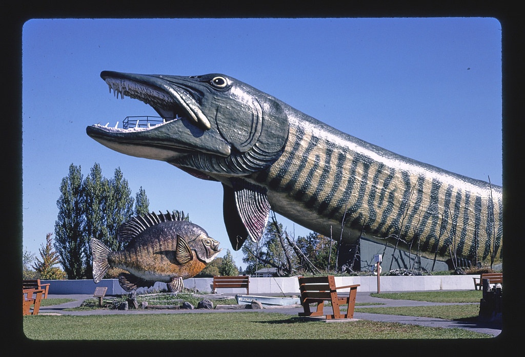 Giant pike side view 2, Fishing Hall of Fame, Hayward, Wisconsin, Hayward, Wisconsin (LOC)
