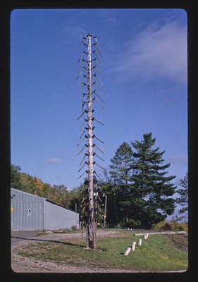 Axe Handle Tower, Bulcan Iron Mountain iron mine, Norway, Michigan (LOC)  duplicate photo