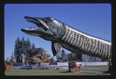 Giant pike side view, Fishing Hall of Fame, Hayward, Wisconsin, Hayward, Wisconsin (LOC)  duplicate photo