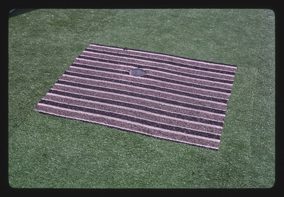 Carpet detail, Blackbeard's mini golf, Fresno, California (LOC)  duplicate photo